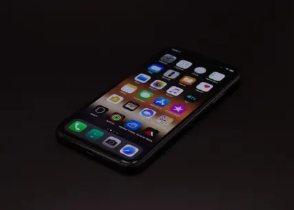 888レイディーズ カジノ モバイルアプリ